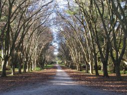 El parque fue propiedad de la familia Pereyra hasta 1949. ESPECIAL  /
