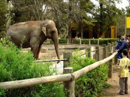 Aprovecha que están próximas las vacaciones y reserva un espacio en tu agenda. ESPECIAL  /