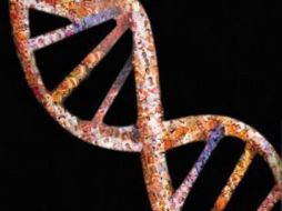 El descubrimiento del genoma humano revolucionó las investigaciones. ESPECIAL  /