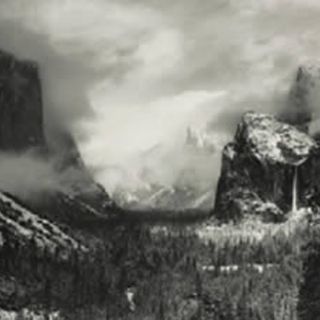 Gran éxito la venta de la Colección Polaroid