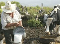 Productores afirman que la calificación de las secretarias de Educación y Salud sobre la leche inhibirá el consumo.EL INFORMADOR  /