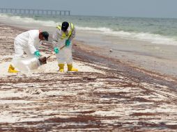 Miembros del equipo de limpieza, recolectan el petróleo que se encuentra en la arena de la playa de Pensacola. AP  /