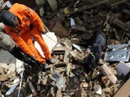 Crecidas en los ríos arrastaron con  autos, casas y todo a su paso. REUTERS  /