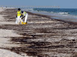 La 'marea negra' ha llegado a las costas de Florida, en Estados Unidos. AP  /