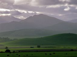 Ejecutivos estresados de las ciudades podrían buscar otras oportunidades. ESPECIAL  /
