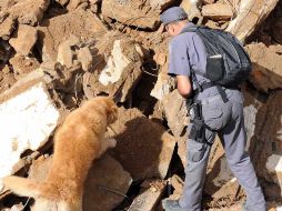 Un rescatista se auxilia de un perro adiestrado para localizar cuerpos, en la comunidad de Branquinha. AFP  /