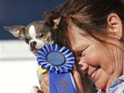 La perrita Princess Abby se impuso a una lista de participantes de aspecto desagradable. AP  /