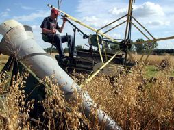 Los cultivos tienen zafras más largas y hacen un uso más eficiente del agua disponible. EFE  /