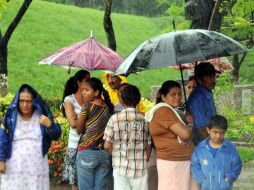 Fuertes lluvias y vientos azotan Villahermosa por los efectos de la tormenta tropical  Alex. NTX  /