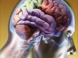 La anhedonia , que provoca la pérdida de interés y hasta la aptitud de sentir satisfacción en cualquier cosa. ESPECIAL  /