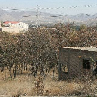 Fraccionamiento La Cima no tiene permiso para movimiento de tierra
