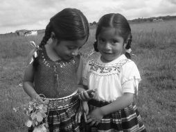 Incluye 10 mapas cartográficos con ordenamientos gráficos. ESPECIAL  /