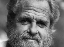 Corey se desempeñó además como escritor y productor. IMDB  /