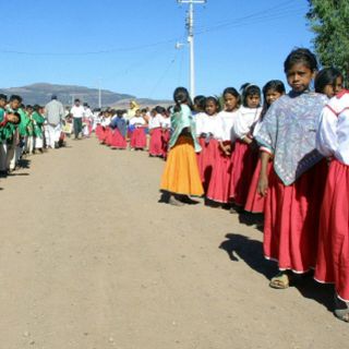 Acusan a subdelegado de la PGJ de favorecer explotación infantil en Jalisco