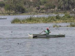 El propio alcalde de Tlajomulco, Enrique Alfaro, ha reconocido que el cuerpo de agua está “altamente contaminado”. ARCHIVO  /