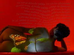 En este trabajo el fotógrafo comparte su forma de jugar al arte de fisgonear a través de la lente. ESPECIAL  /