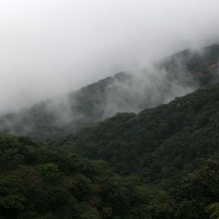 Crean Consejo para la preservación de Sierra del Águila