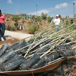Promueve EXTRA reforestación en el Bosque El Centinela