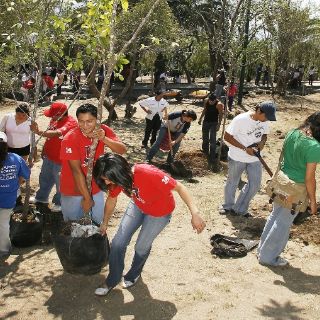 Promueve EXTRA reforestación en el Bosque El Centinela