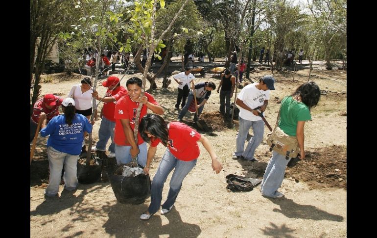 La reforestación de EXTRA en El Centinela pretende disminuir la presión contra la gran reserva boscosa de la ZMG. A. CAMACHO  /