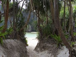 La gente acudía a Phi Phi por su belleza, ahora es visitada por la película. EFE  /