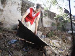 Los operativos especiales de descacharrización se han hecho en colonias de zona centro y otras. ARCHIVO  /