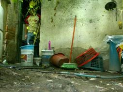 Señalan que algunos vecinos siguen sin cuidar floreros, pilas, aljibes y otros cacharros que acumulan agua. ARCHIVO  /