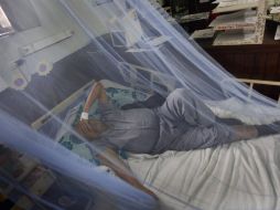 La compra de pabellones de tela contra el mosco transmisor del dengue es una de las medidas para evitar contagios. REUTERS  /