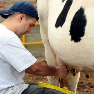 Indispensable controlar la producción de leche jalisciense