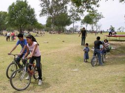 Para este año, se asignó un monto de 25 millones de pesos para obras de rehabilitación del Parque Metropolitano. ARCHIVO  /