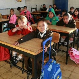 La ciudad requiere, para 20 años, 261 primarias más