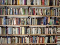 Lo que que se intenta es poner en juego operaciones distintas para cada proyecto de edición de libros. ESPECIAL  /