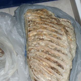 Huracán ''Alex'' deja al descubierto restos de mamut