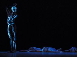 El encuentro de la danza contemporánea contará con una inversión de 800 mil pesos. ARCHIVO  /