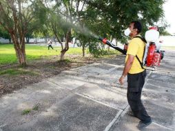 Las acciones para combatir al mosco han resultado efectivas según dice Petersen Farah. A CAMACHO  /