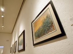 Mauleón Altieri exhibe su maestría en la acuarela.E. BARRERA  /