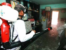 En la zona de la Costa de Jalisco no existe un brote activo de dengue. ARCHIVO  /