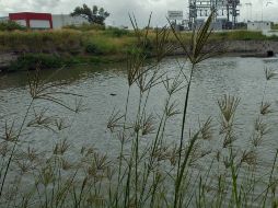 Subió el nivel del agua, llevandose a un pequeño. ARCHIVO  /