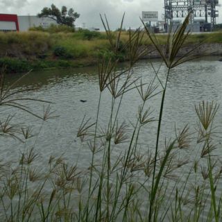 Cuando los ciclos se rompen