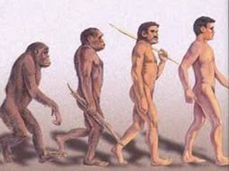 Los cambios por la evolución han hecho que el cerebro humano sea más grande que el de los simios. ESPECIAL  /