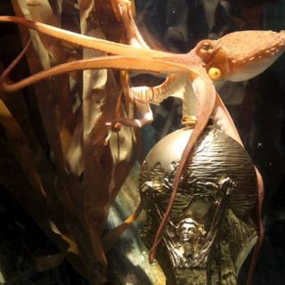 Paul recibe su propio trofeo