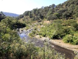 Debido al escaso presupuesto asignado, en 2011 las labores de mantenimiento en La Primavera requerirán más recursos. A. GARCÍA  /