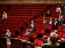 El pa parlamento francés aprobó el proyecto. EFE  /