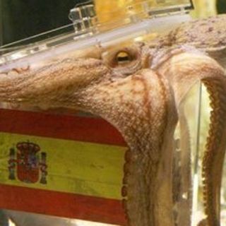 España reclama a Paul, el pulpo adivino