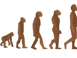 Este hallazgo puede aportar una información crucial para entender la historia evolutiva de nuestra especie. ESPECIAL  /