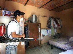 Señalan que la implementación de acciones compartidas son la clave para que el mosco transmisor del dengue no prolifere.  ARCHIVO  /