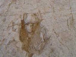 Los trabajos generarán dos mil 726 jornales entre la población aledaña al yacimiento. INAH.GOB  /