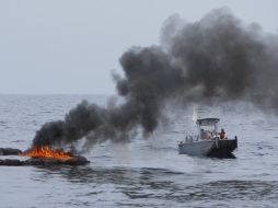 El petróleo que ha salido del pozo afecta actualmente las playas y costas de varios estados de Estados Unidos. EFE  /