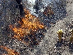 Cerca de 71% de los incendios en zonas forestales es provocado por quemas agrícolas. ARCHIVO  /
