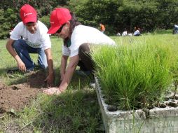 La reforestación en La Primavera se realizó en el predio “La Presa”, localizado a un costado del Río Salado. A. CAMACHO  /